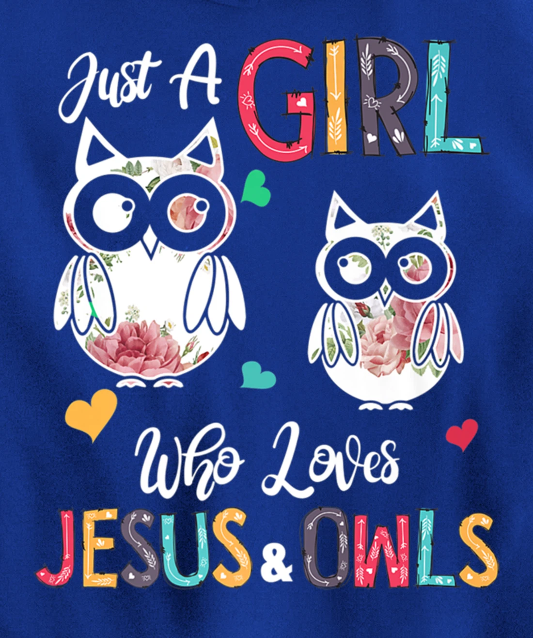 Just a Girl Who Loves Jesus And Owls Costume Christian Pullover Hoodie