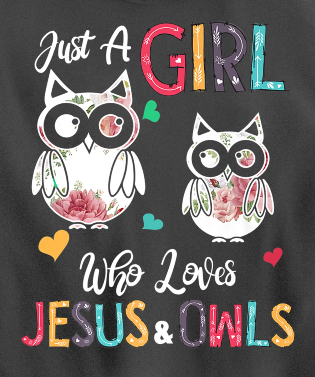 Just a Girl Who Loves Jesus And Owls Costume Christian Pullover Hoodie
