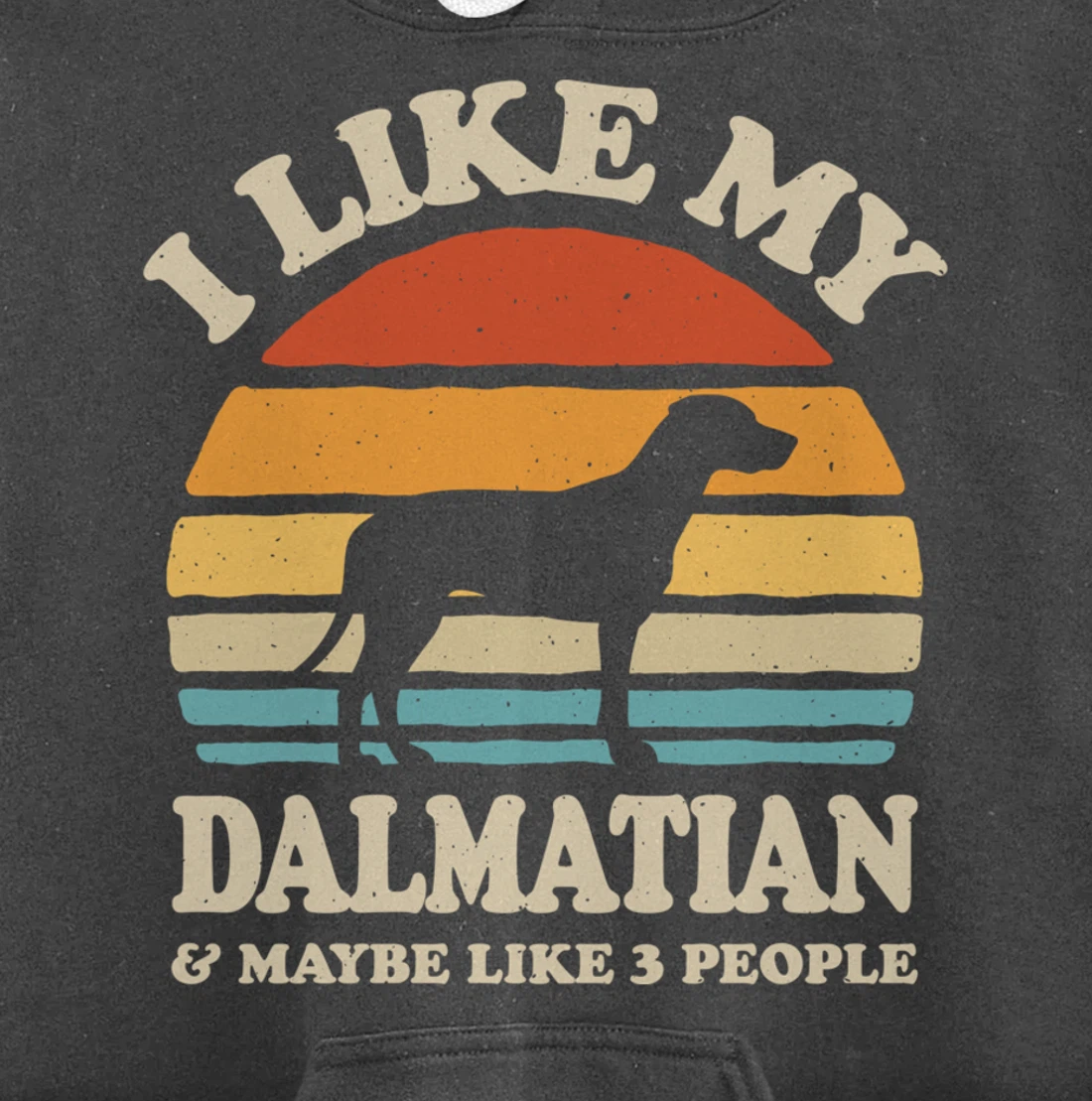 I Like My Dalmatian And Maybe Like 3 People Dog Lover Retro Pullover Hoodie