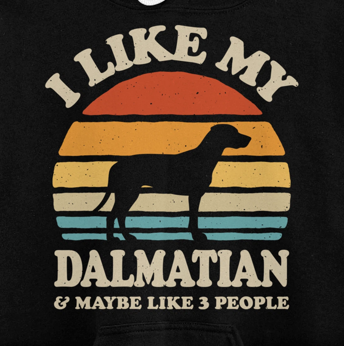 I Like My Dalmatian And Maybe Like 3 People Dog Lover Retro Pullover Hoodie