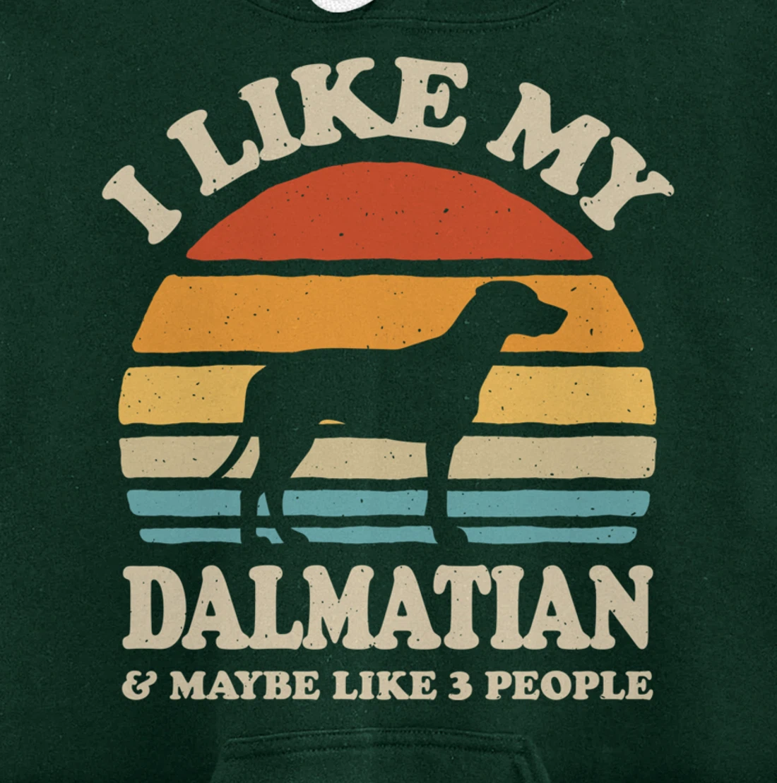 I Like My Dalmatian And Maybe Like 3 People Dog Lover Retro Pullover Hoodie
