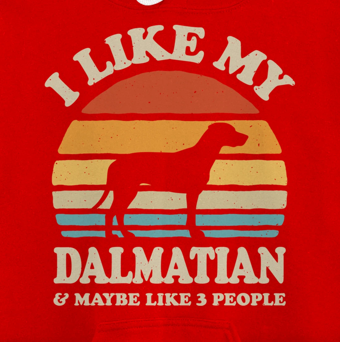 I Like My Dalmatian And Maybe Like 3 People Dog Lover Retro Pullover Hoodie