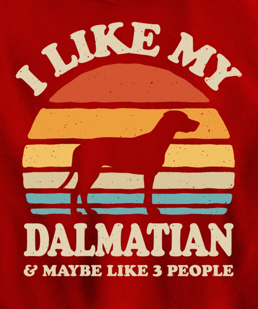 I Like My Dalmatian And Maybe Like 3 People Dog Lover Retro Pullover Hoodie
