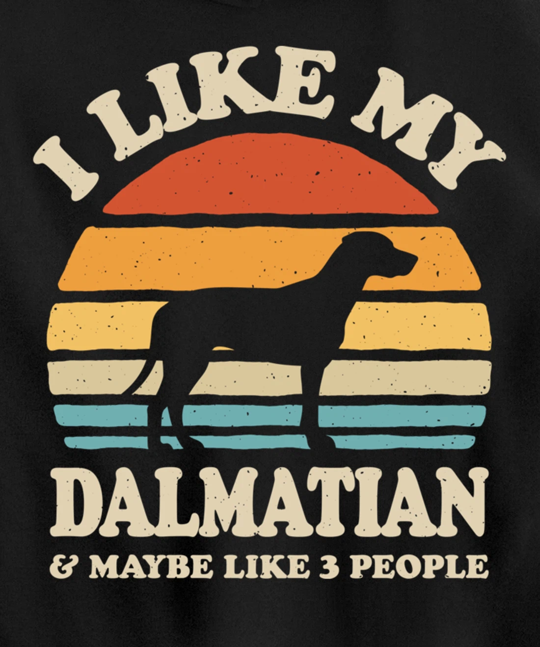 I Like My Dalmatian And Maybe Like 3 People Dog Lover Retro Pullover Hoodie