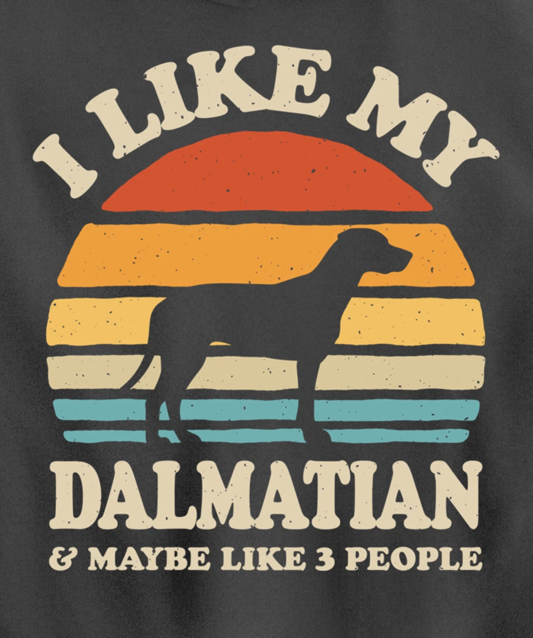 I Like My Dalmatian And Maybe Like 3 People Dog Lover Retro Pullover Hoodie