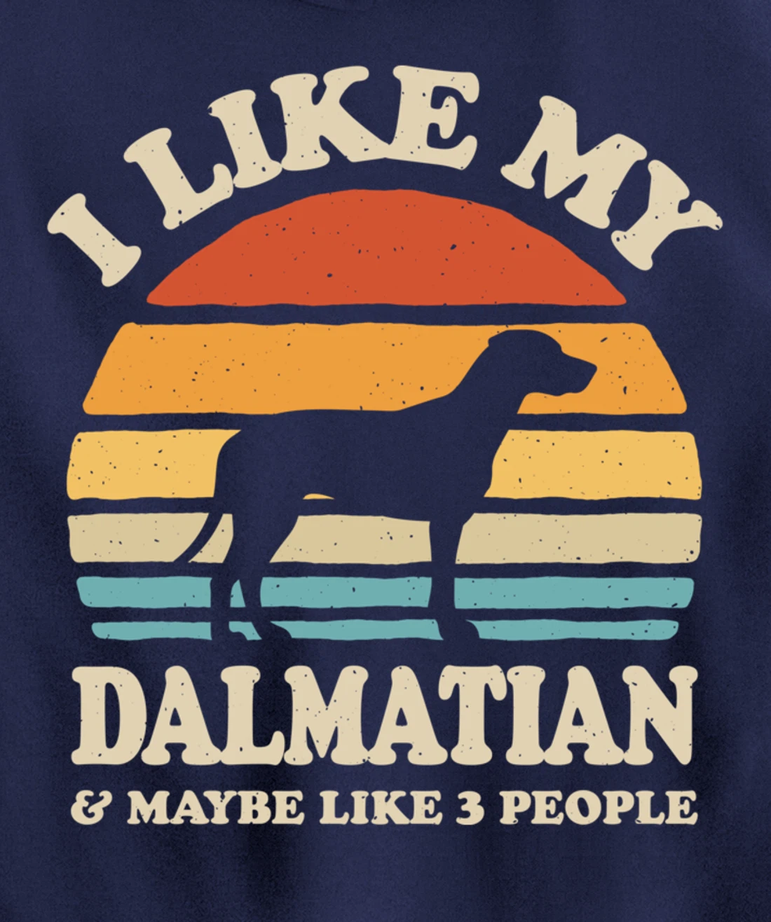 I Like My Dalmatian And Maybe Like 3 People Dog Lover Retro Pullover Hoodie