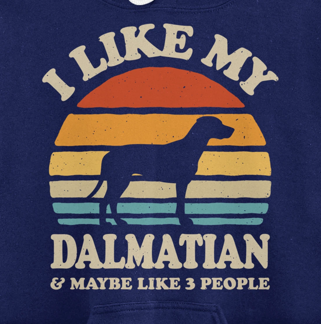 I Like My Dalmatian And Maybe Like 3 People Dog Lover Retro Pullover Hoodie