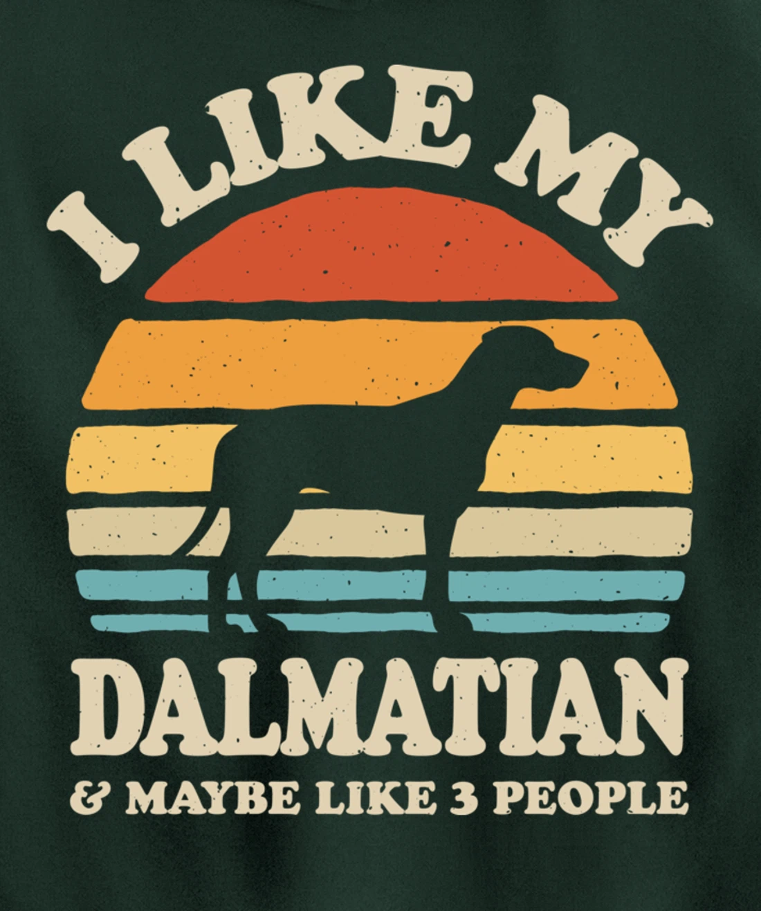 I Like My Dalmatian And Maybe Like 3 People Dog Lover Retro Pullover Hoodie