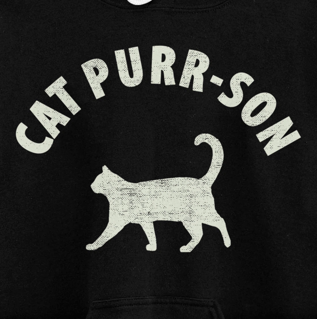 Funny Cat Purr-son For The Cat Lover Pullover Hoodie