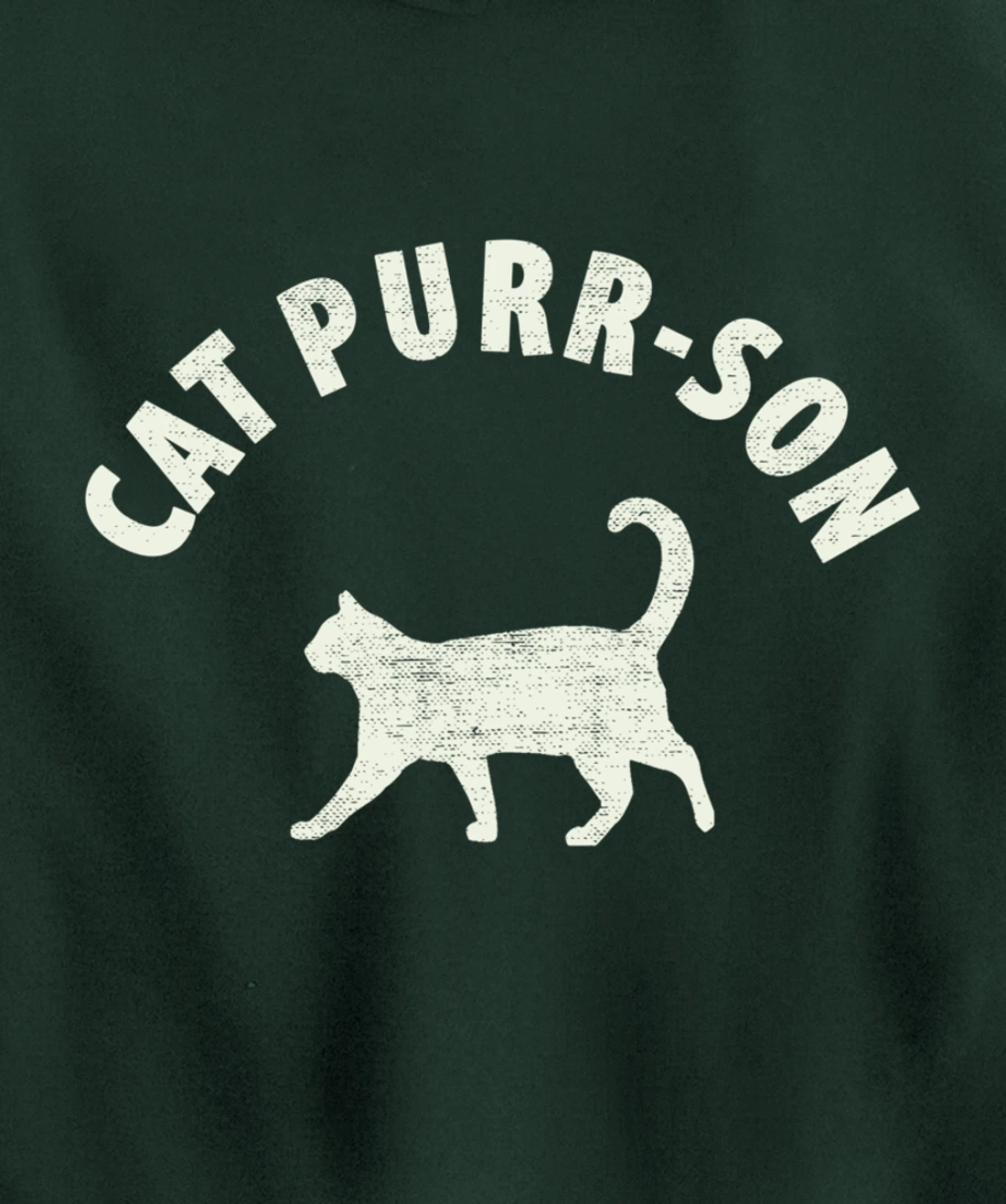Funny Cat Purr-son For The Cat Lover Pullover Hoodie