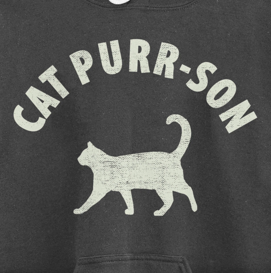 Funny Cat Purr-son For The Cat Lover Pullover Hoodie