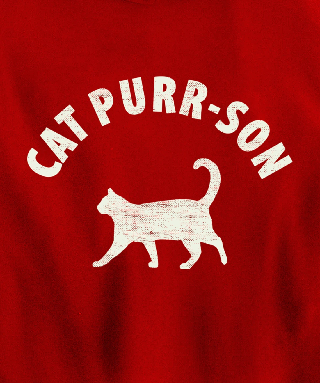 Funny Cat Purr-son For The Cat Lover Pullover Hoodie