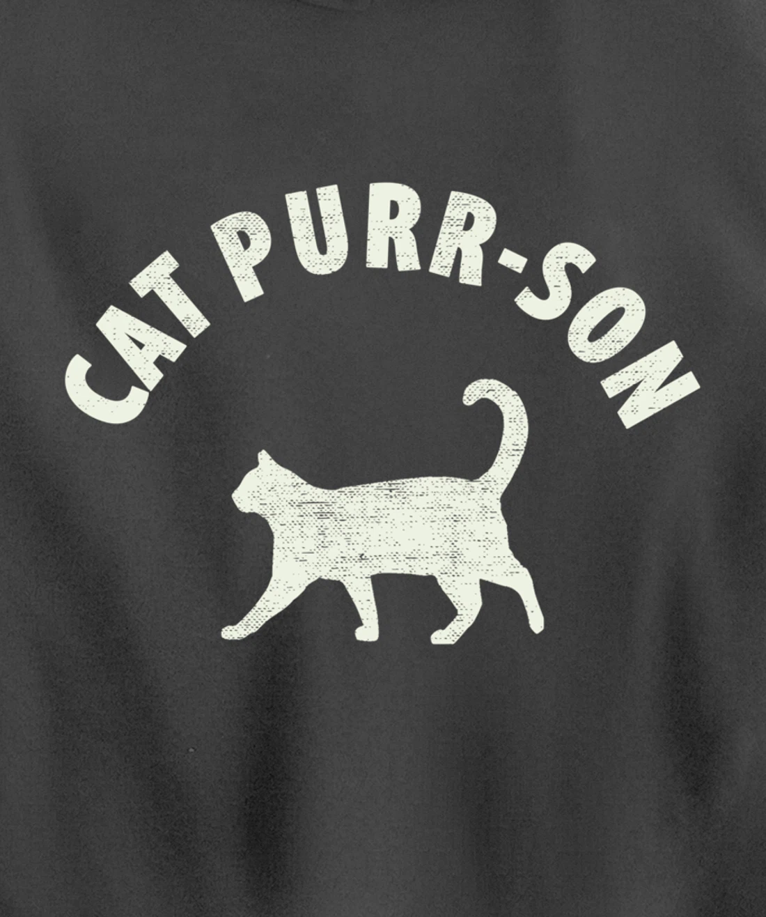 Funny Cat Purr-son For The Cat Lover Pullover Hoodie