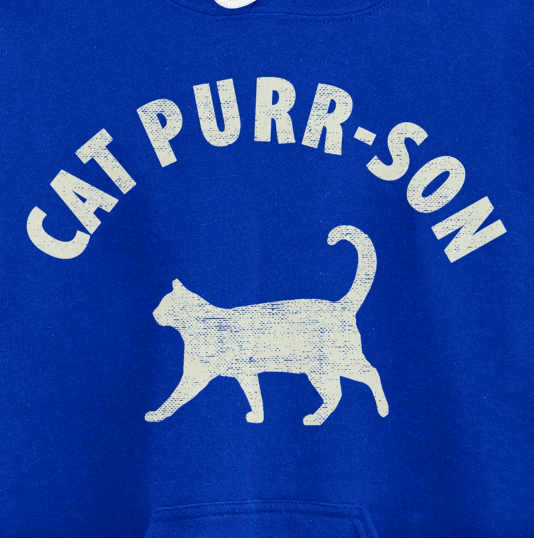 Funny Cat Purr-son For The Cat Lover Pullover Hoodie