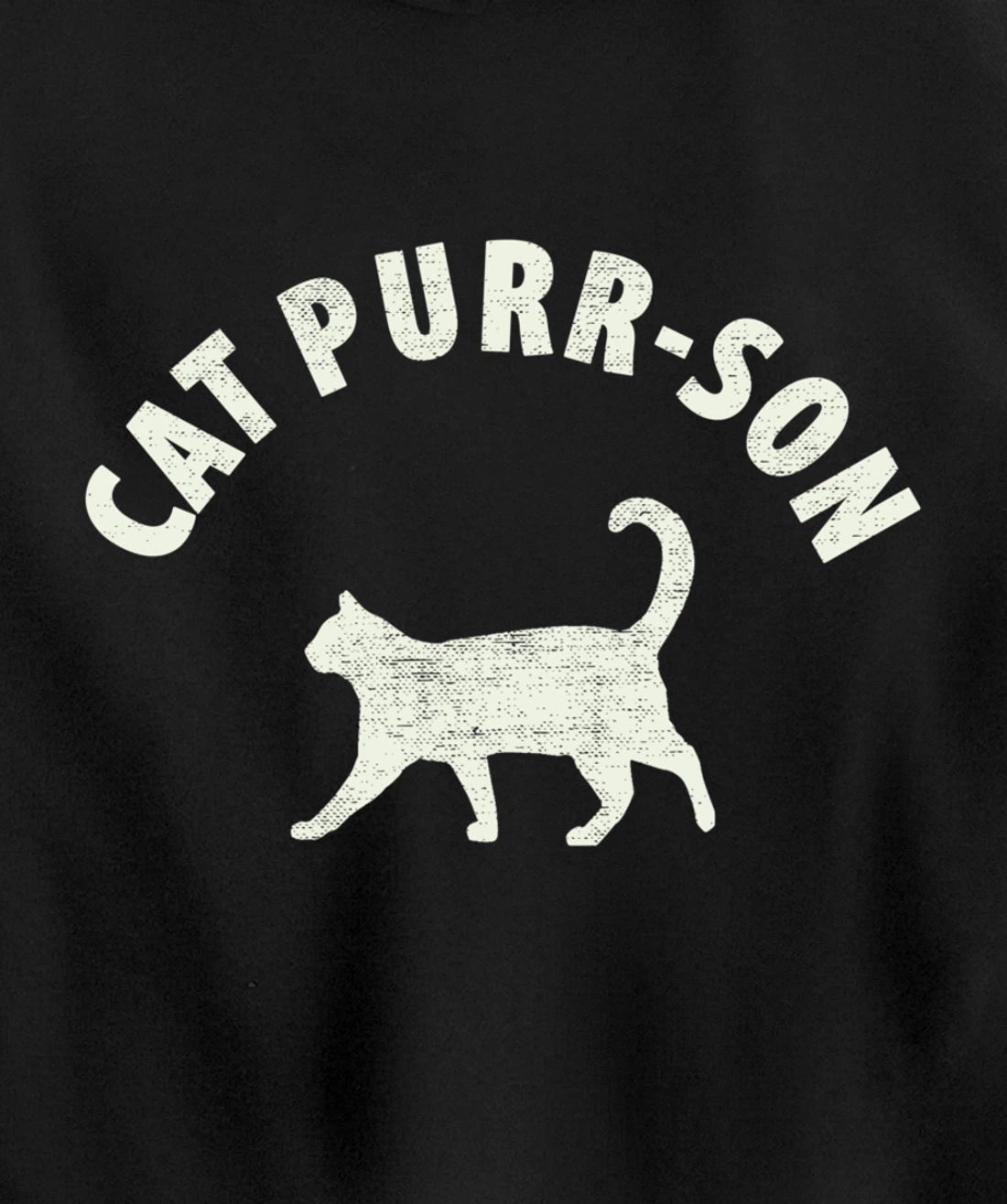 Funny Cat Purr-son For The Cat Lover Pullover Hoodie
