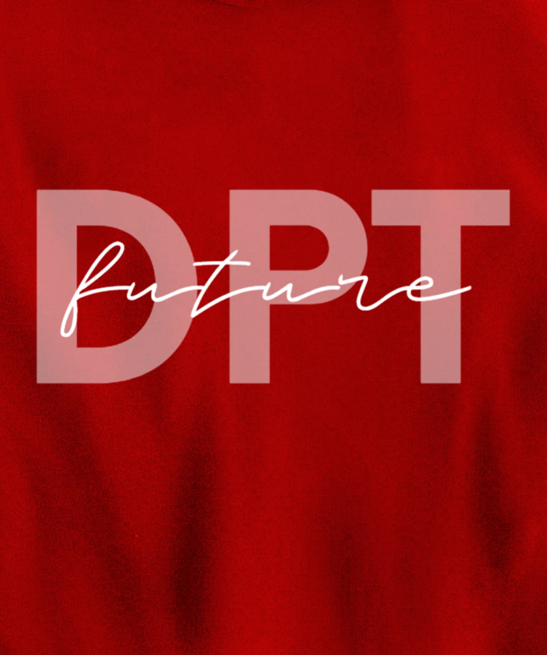 Doctor of Physical Therapy Physical Therapist Assistant PTA Pullover Hoodie