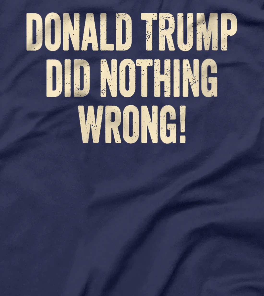 Womens Donald Trump Did Nothing Wrong Funny Pro Trump 2024 T-Shirt