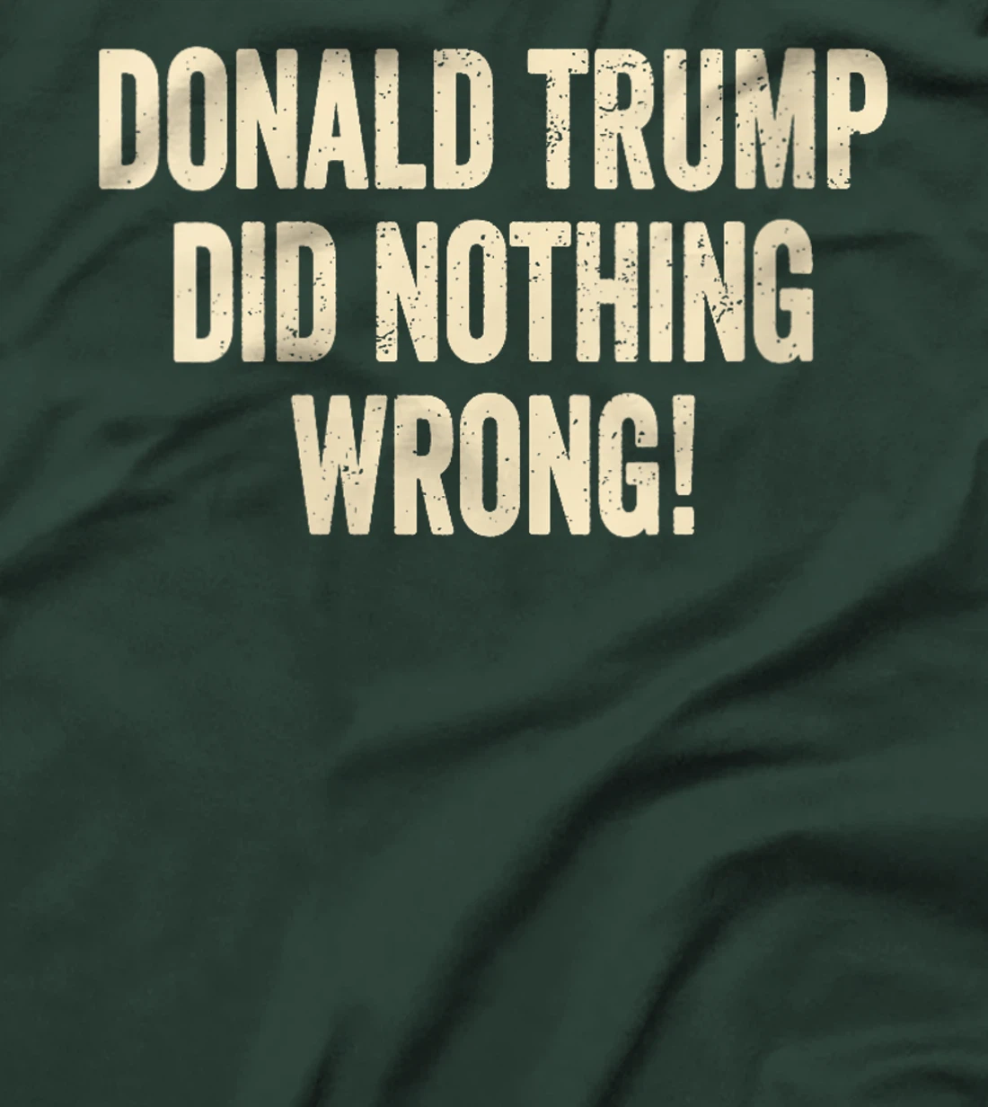 Womens Donald Trump Did Nothing Wrong Funny Pro Trump 2024 T-Shirt