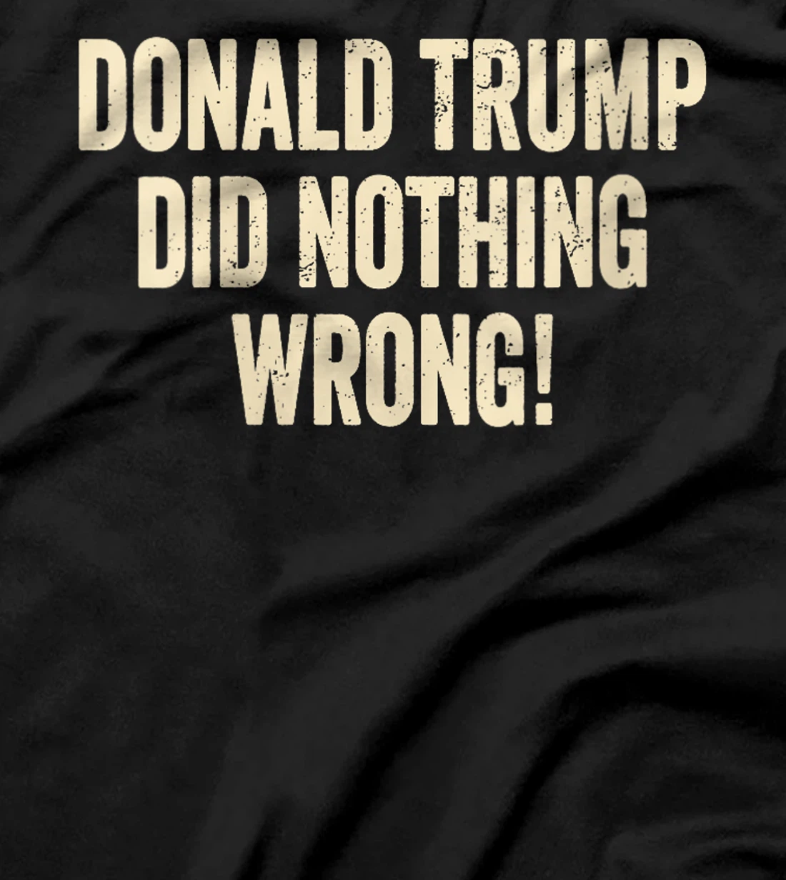 Womens Donald Trump Did Nothing Wrong Funny Pro Trump 2024 T-Shirt