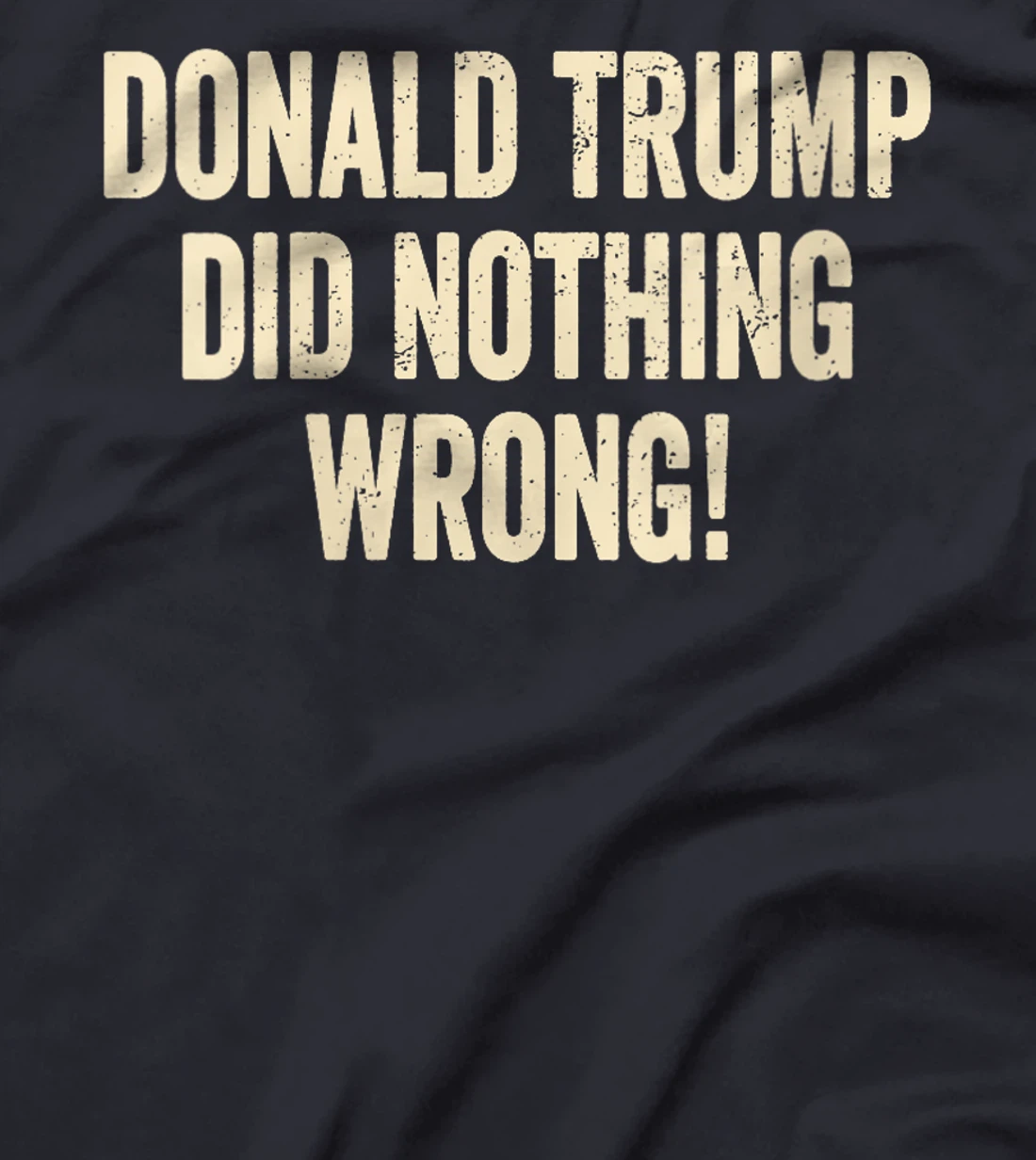 Womens Donald Trump Did Nothing Wrong Funny Pro Trump 2024 T-Shirt