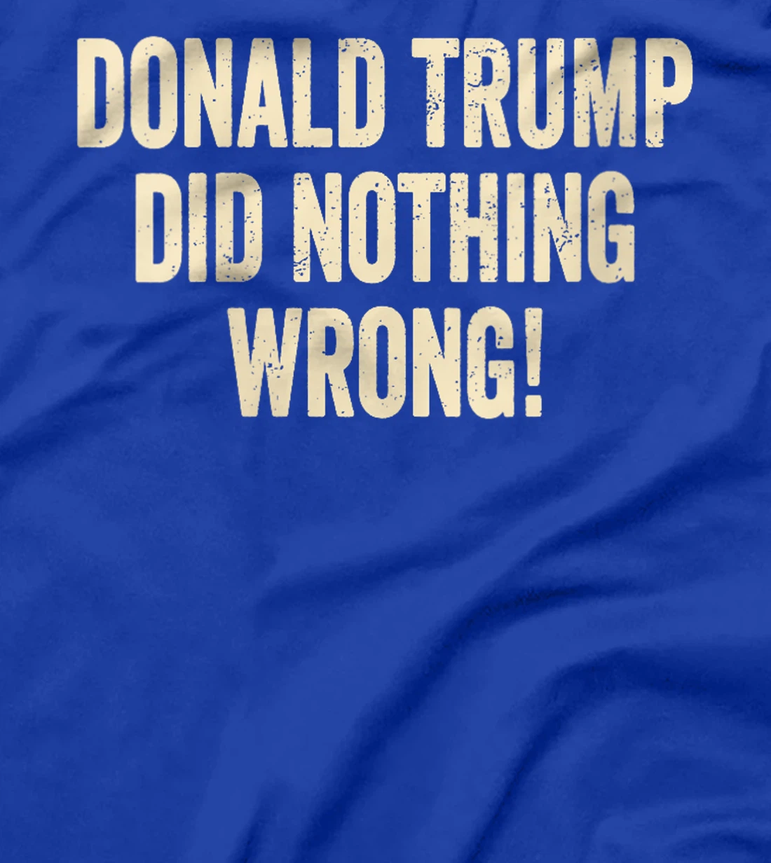 Womens Donald Trump Did Nothing Wrong Funny Pro Trump 2024 T-Shirt
