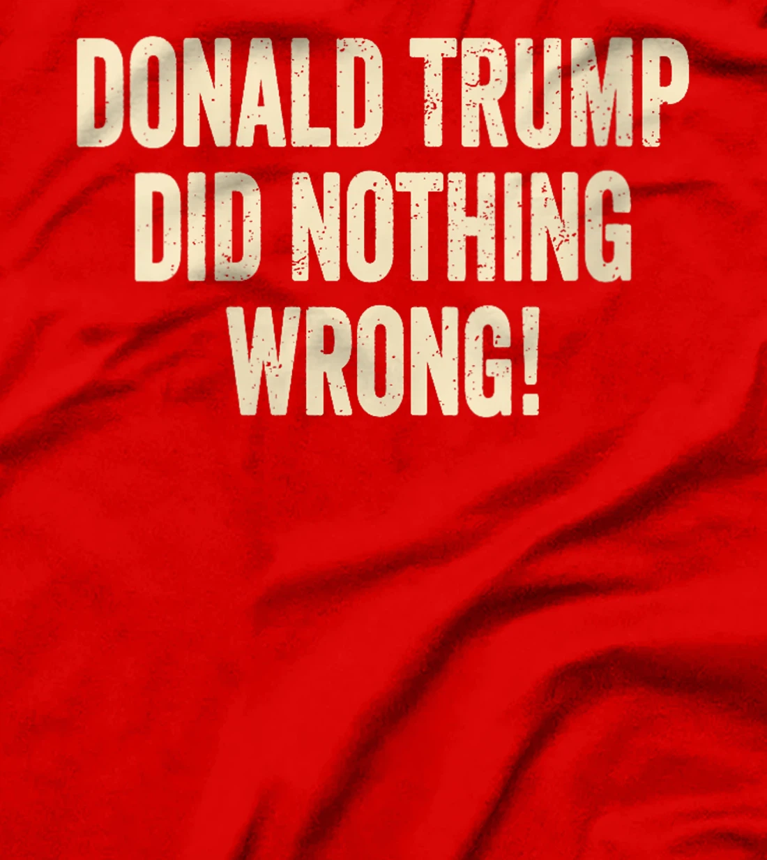 Womens Donald Trump Did Nothing Wrong Funny Pro Trump 2024 T-Shirt