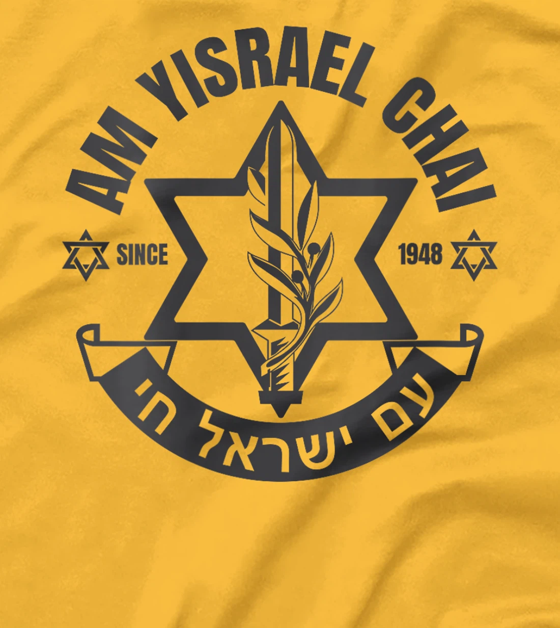 Womens Am Yisrael Chai Israel 1948 Jewish Magen David Hebrew IDF T-Shirt