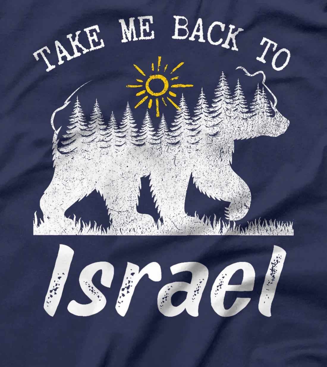 Take Me Back To Israel Vintage Israel Vacation Premium T-Shirt
