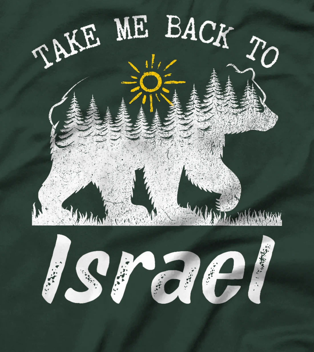Take Me Back To Israel Vintage Israel Vacation Premium T-Shirt