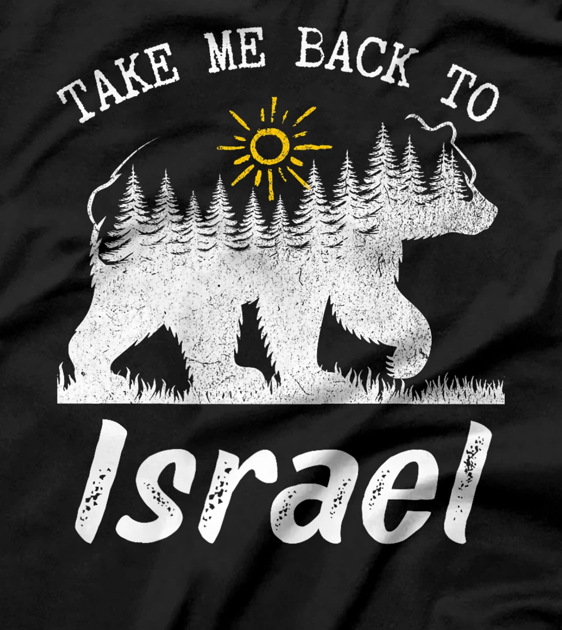 Take Me Back To Israel Vintage Israel Vacation Premium T-Shirt