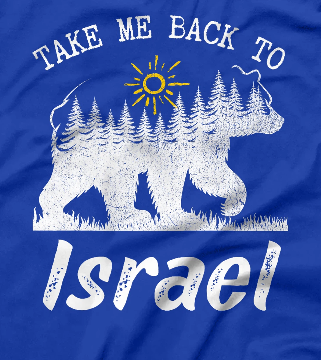 Take Me Back To Israel Vintage Israel Vacation Premium T-Shirt