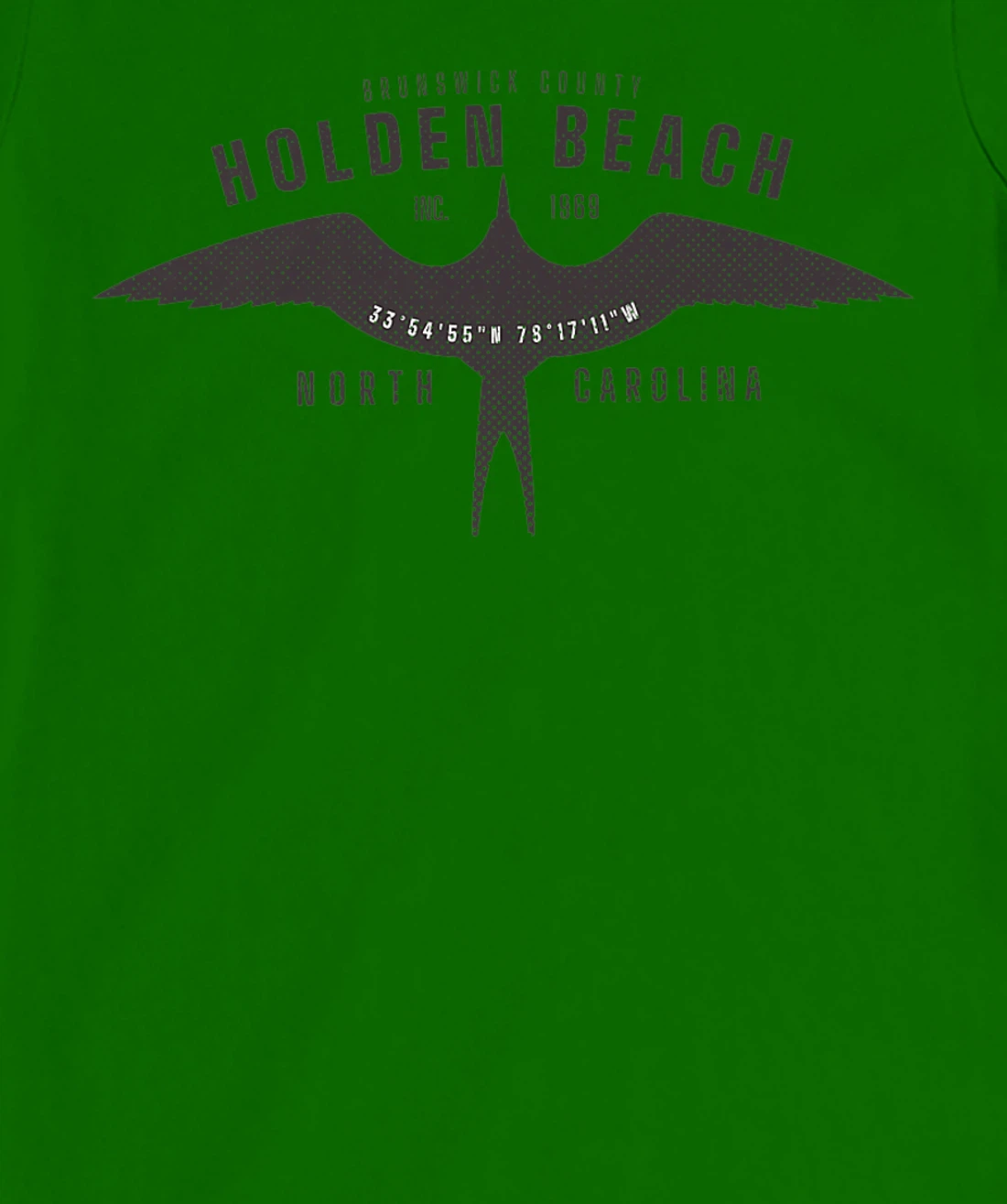 Womens Holden Beach, NC Bird in Flight Summertime Vacation T-Shirt, Women T-Shirt