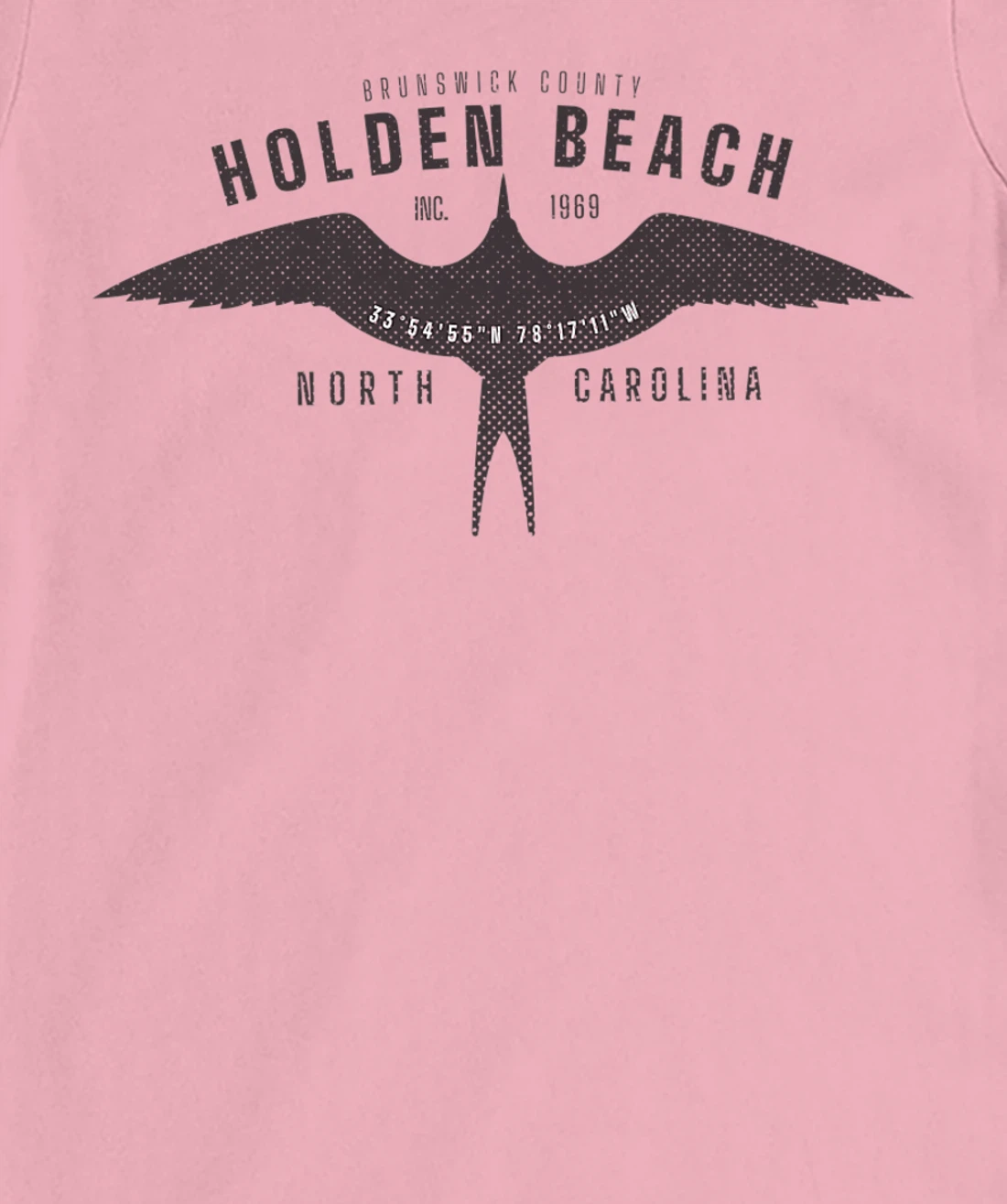 Womens Holden Beach, NC Bird in Flight Summertime Vacation T-Shirt, Women T-Shirt