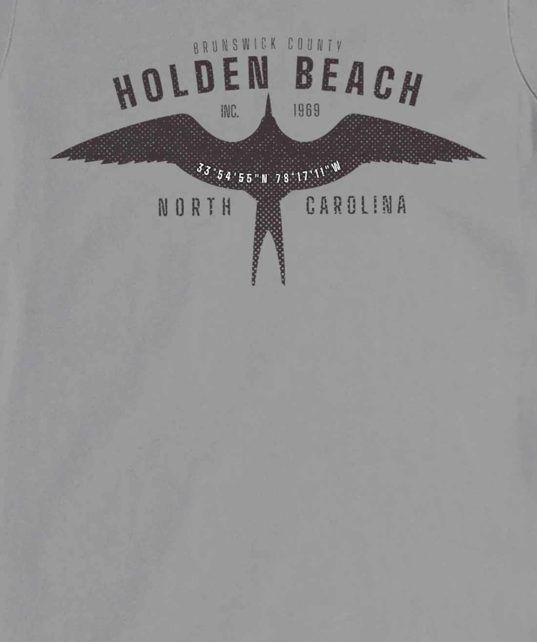 Womens Holden Beach, NC Bird in Flight Summertime Vacation T-Shirt, Women T-Shirt