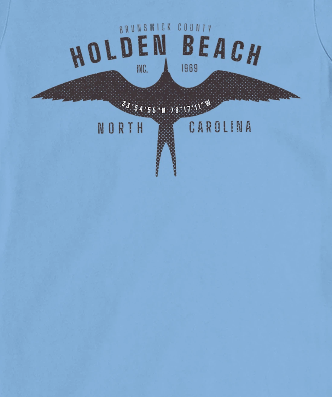 Womens Holden Beach, NC Bird in Flight Summertime Vacation T-Shirt, Women T-Shirt