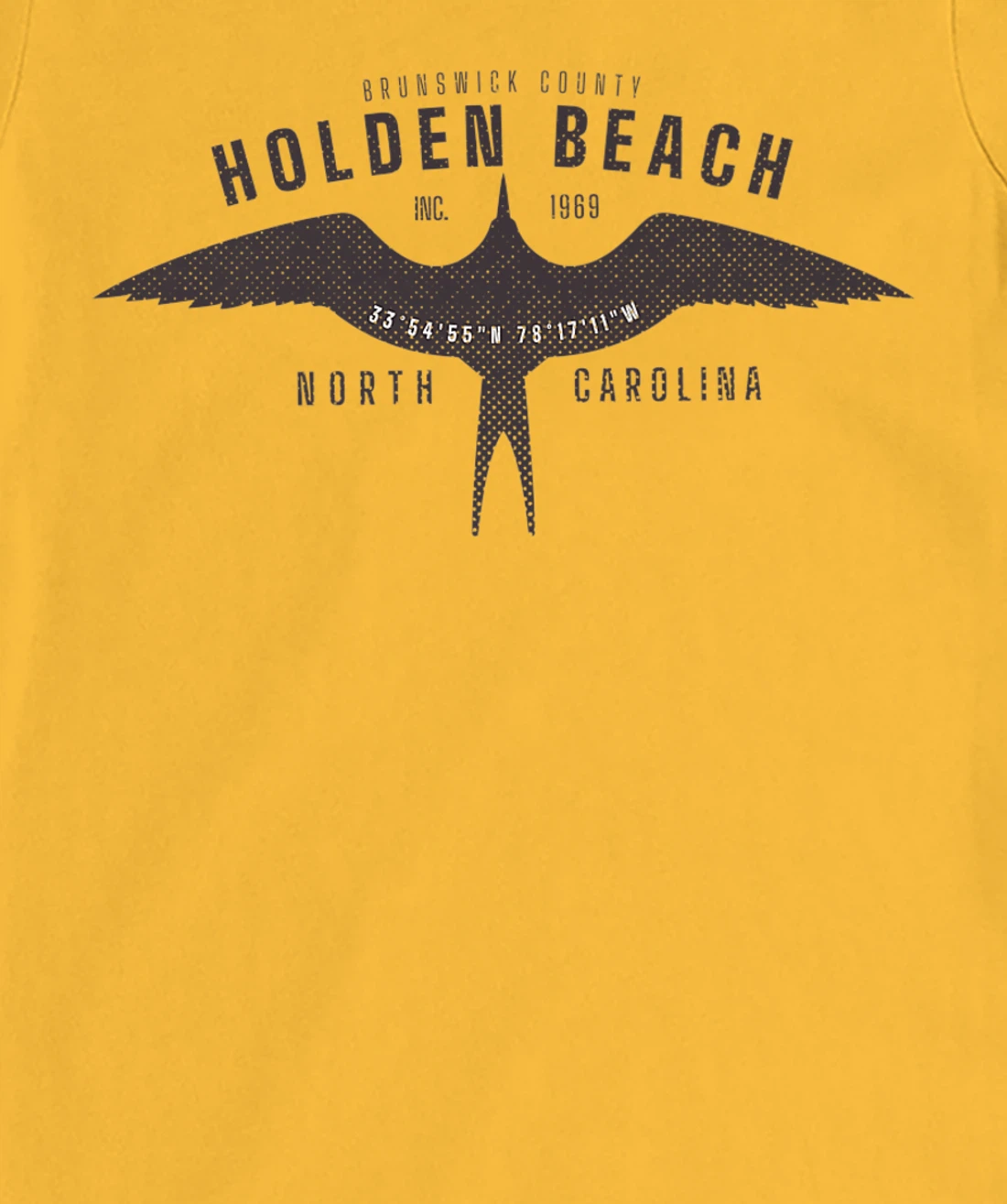 Womens Holden Beach, NC Bird in Flight Summertime Vacation T-Shirt, Women T-Shirt