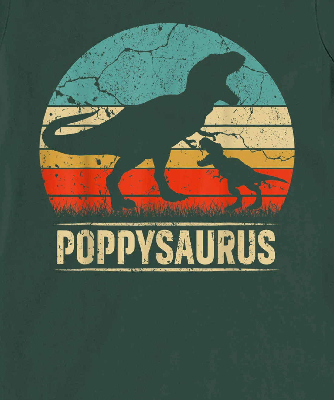 Poppysaurus T Rex Dinosaur Poppy Saurus Family Matching T-Shirt, Kid T-Shirt and Women T-Shirt