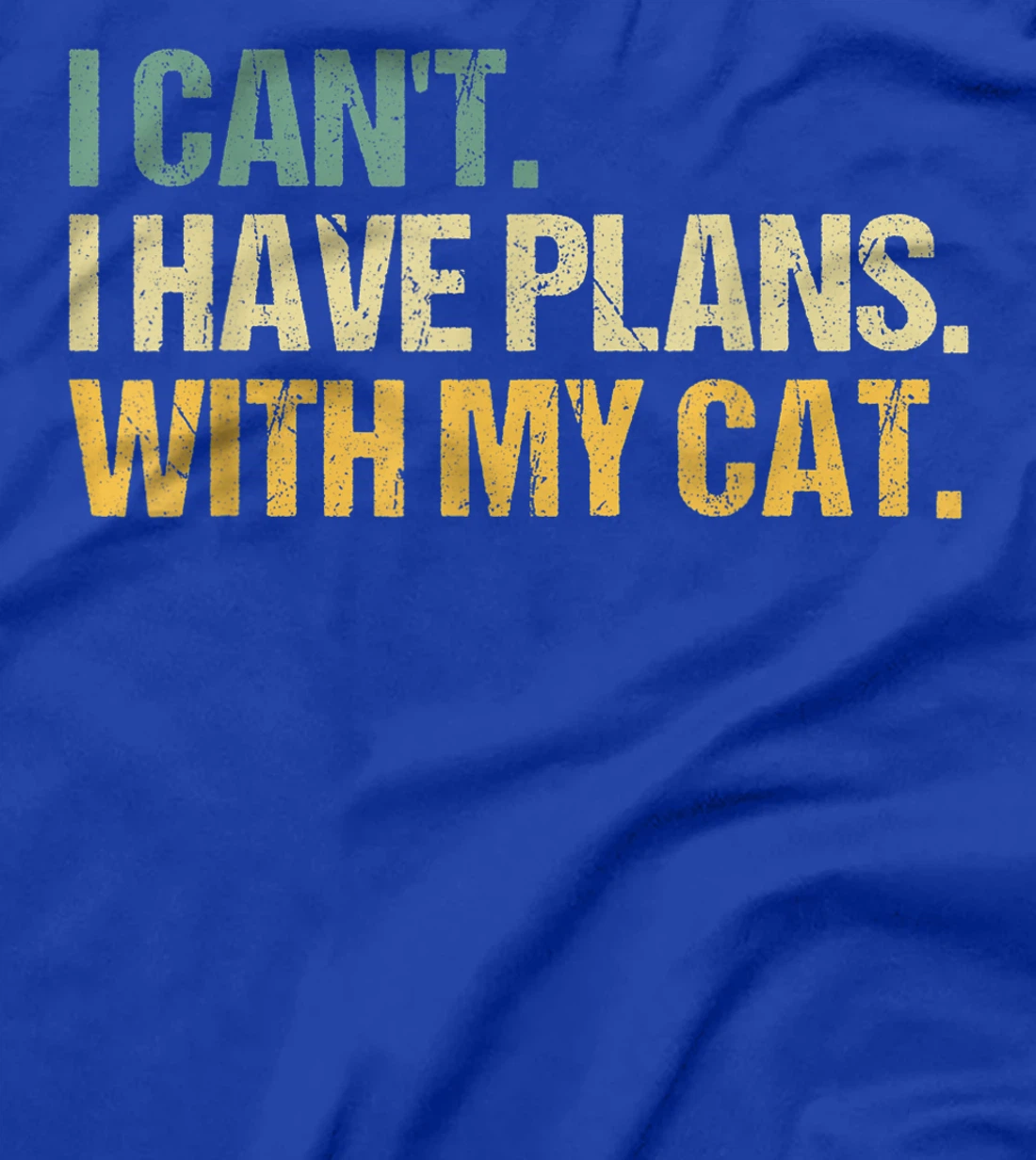 Sorry I Can't I Have Plans With My Cat Funny Cat Lover T-Shirt, Women T-Shirt