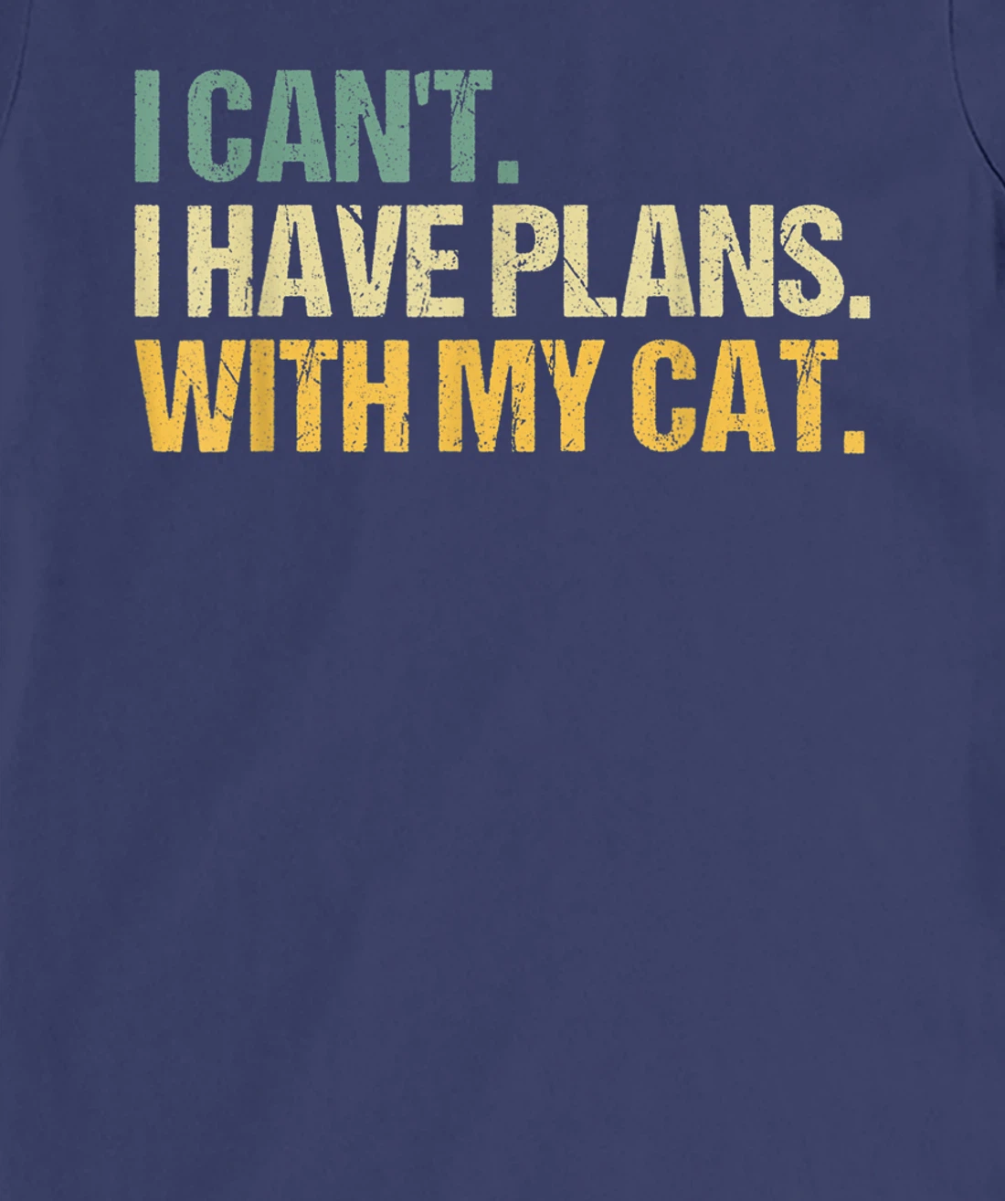 Sorry I Can't I Have Plans With My Cat Funny Cat Lover T-Shirt, Women T-Shirt