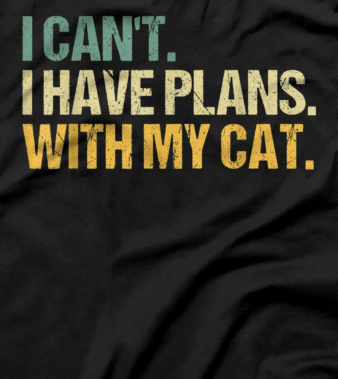 Sorry I Can't I Have Plans With My Cat Funny Cat Lover T-Shirt, Women T-Shirt