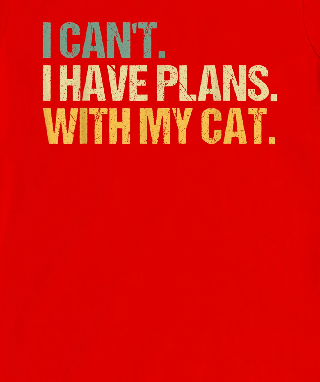 Sorry I Can't I Have Plans With My Cat Funny Cat Lover T-Shirt, Women T-Shirt