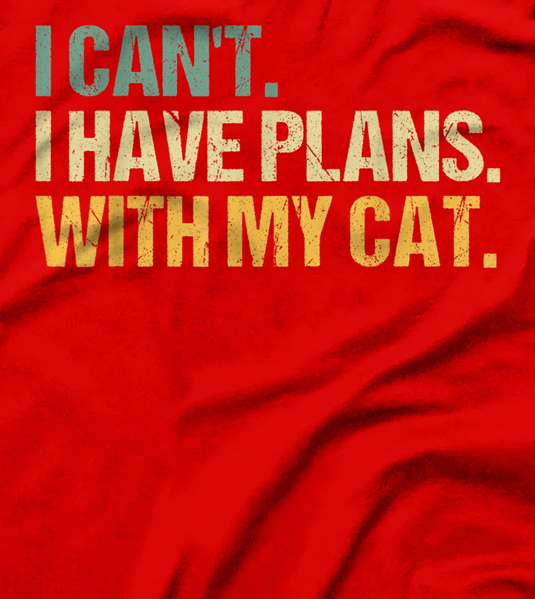 Sorry I Can't I Have Plans With My Cat Funny Cat Lover T-Shirt, Women T-Shirt