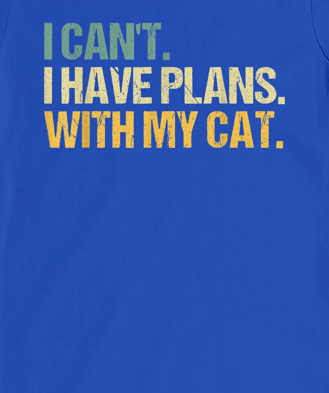 Sorry I Can't I Have Plans With My Cat Funny Cat Lover T-Shirt, Women T-Shirt