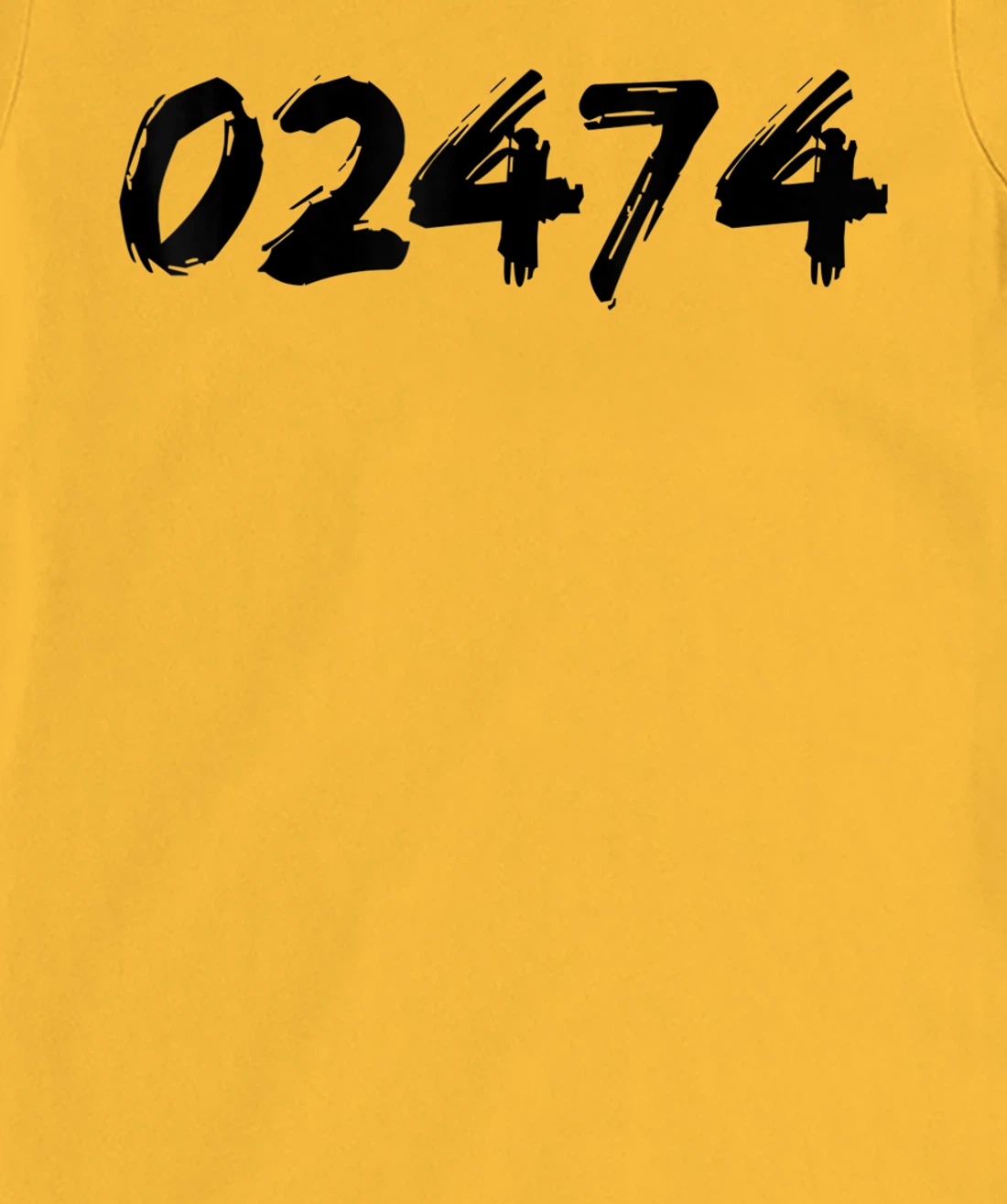 Womens 02474 Zipcode Arlington Mass. MA Hometown Pride Zip 02474 T-Shirt, Women T-Shirt