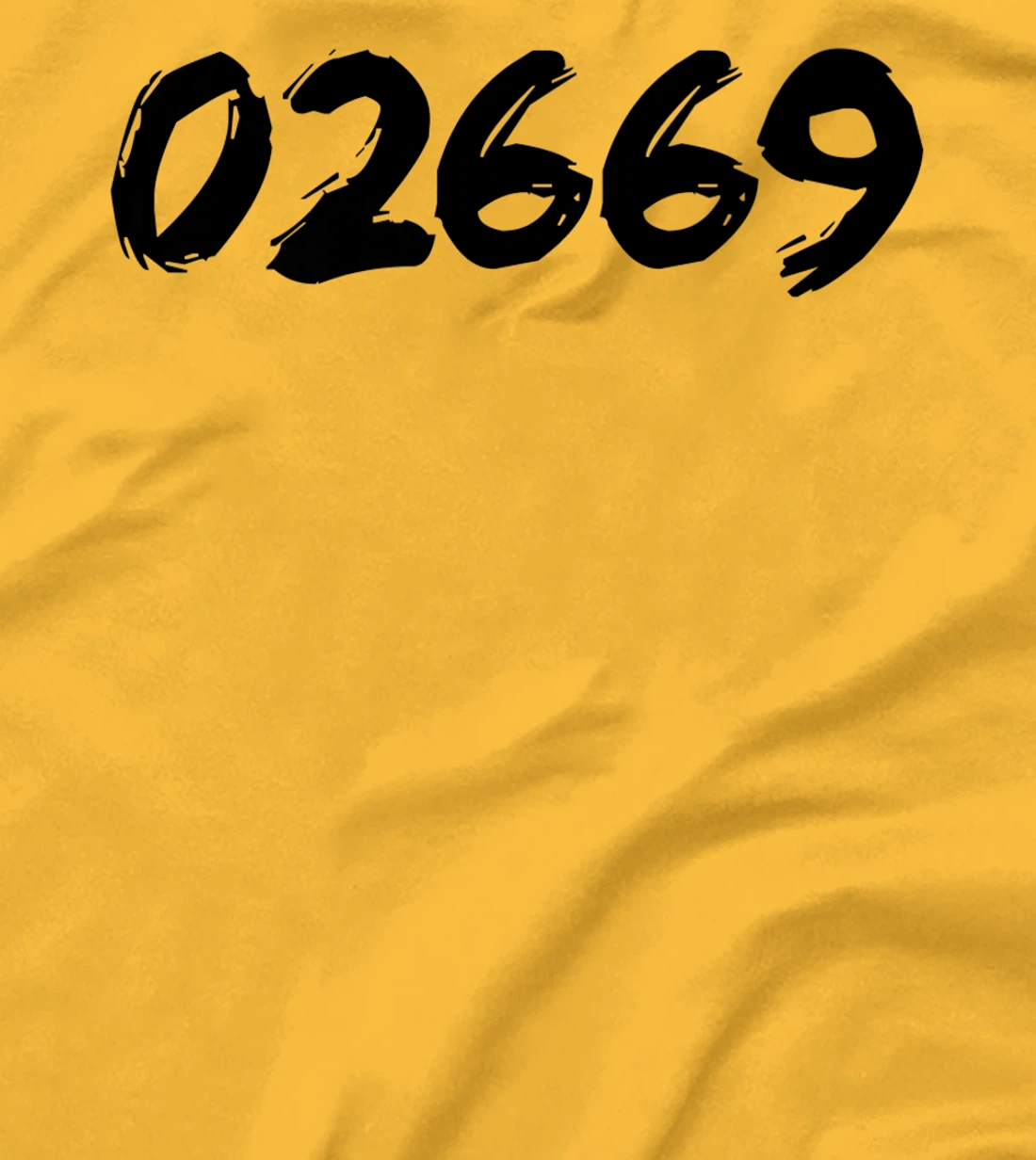 Womens 02669 Zipcode West Chatham Mass. MA Hometown Pride Zip 02669 T-Shirt, Women T-Shirt