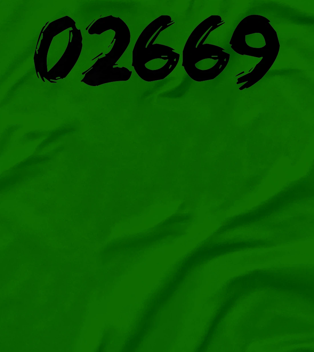 Womens 02669 Zipcode West Chatham Mass. MA Hometown Pride Zip 02669 T-Shirt, Women T-Shirt