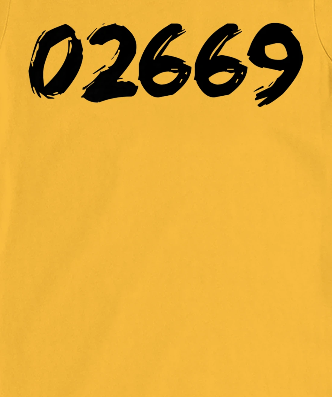 Womens 02669 Zipcode West Chatham Mass. MA Hometown Pride Zip 02669 T-Shirt, Women T-Shirt