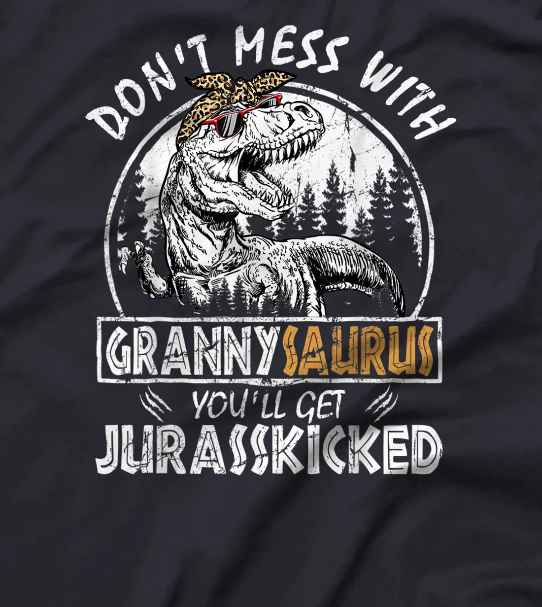 Don't Mess With Grannysaurus Youll Get Jurasskicked Granny T-Shirt, Kid T-Shirt and Women T-Shirt