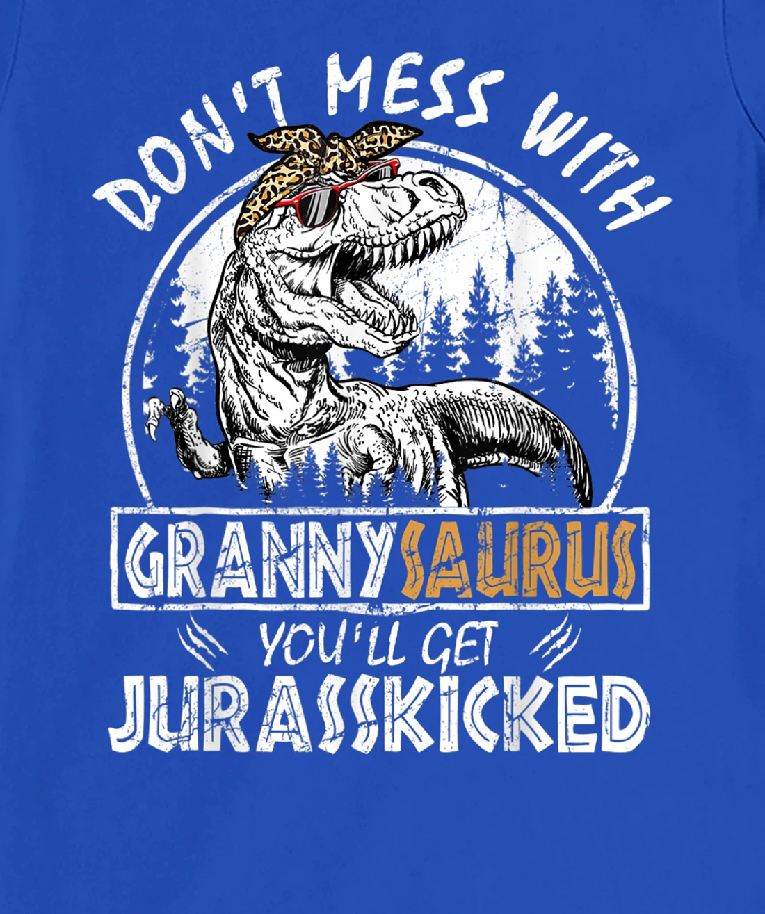 Don't Mess With Grannysaurus Youll Get Jurasskicked Granny T-Shirt, Kid T-Shirt and Women T-Shirt