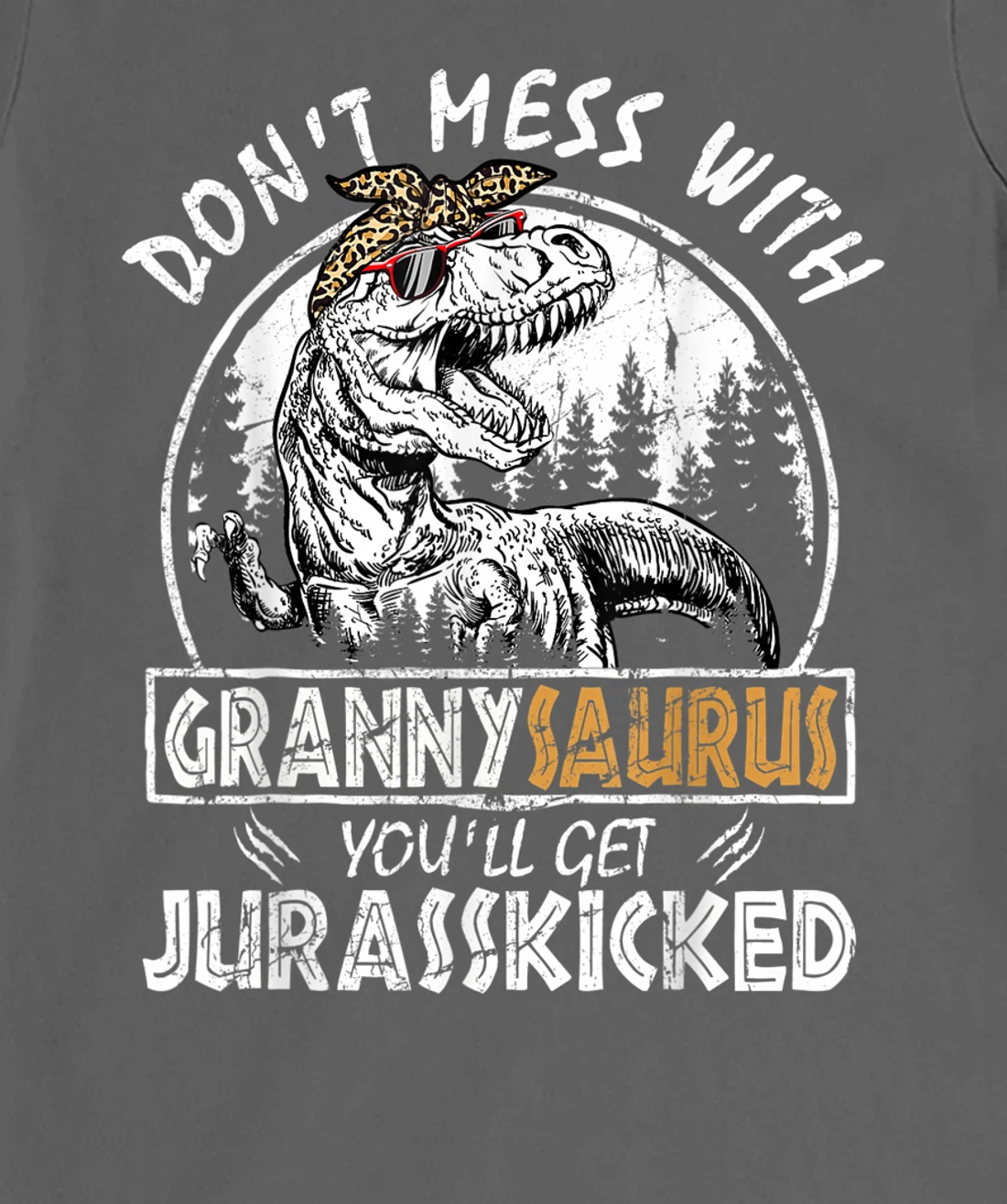 Don't Mess With Grannysaurus Youll Get Jurasskicked Granny T-Shirt, Kid T-Shirt and Women T-Shirt